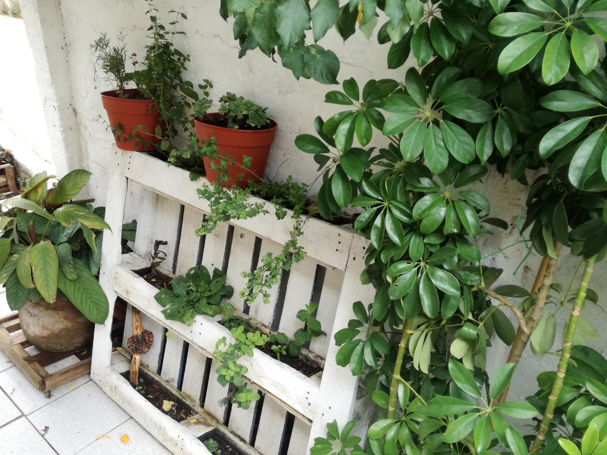 Apartament Mi Paz Valparaíso Zewnętrze zdjęcie